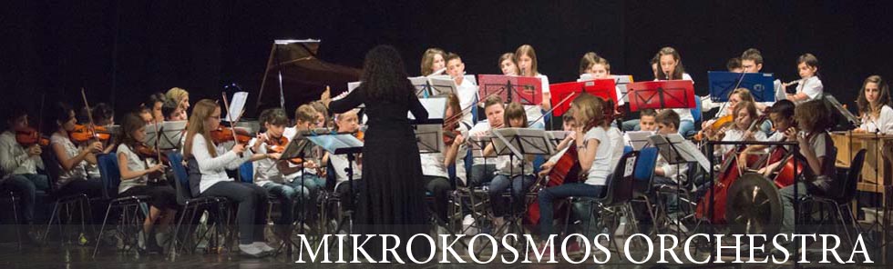 Mikrokosmos